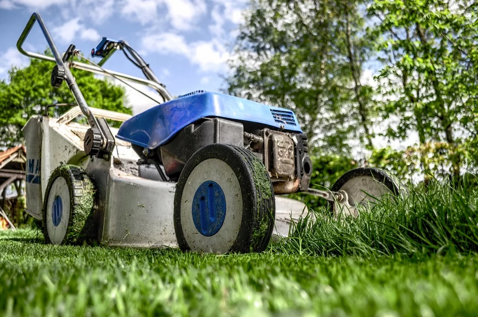 Grass mowing 